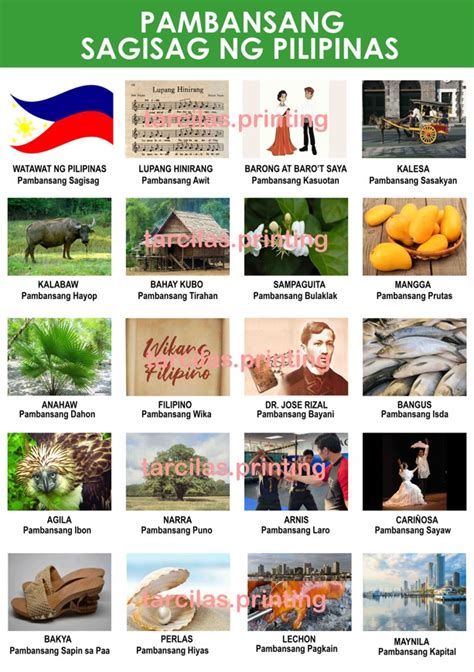 pambansang sagisag ng pilipinas chart|Filipino Coat of Arms: Pambansang Sagisag ng Pilipinas.